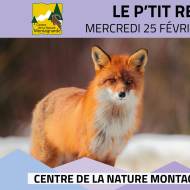 Les P'tits Experts de la Nature® - Le P'tit renard