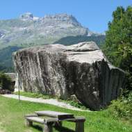 Bloc erratique - Granite
