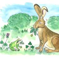 Découverte de l'aquarelle naturaliste