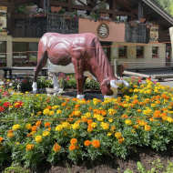 Abondance Cheese House
