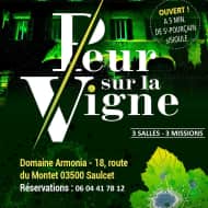 Escape Game "Peur sur la vigne"