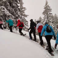 Team building - Snowshoeing hiking