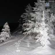 Multi-Evasion snowshoe hike