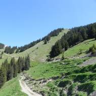 La Pointe de Recon