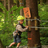 Tree climbing Arbr'acadabra