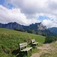 Regenerating Sophro walk on the Mont Bénand trail
