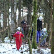 Atelier nature "la vie sauvage en hiver"