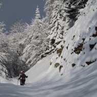 Balades raquettes Weekend à La Féclaz ou au Revard