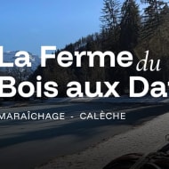 Carriage rides in Samoëns