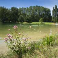 Lac des Vernets