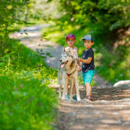 Sortie cani-balade face au Mont-Blanc