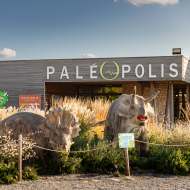 Paléopolis - Location de salles