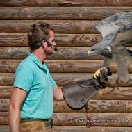 Parc Zoologique Le Domaine des Fauves