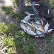 Fishing at the Lauvitel Lake