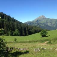Alpage de Barbossine