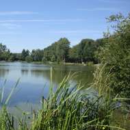 Étangs des Baillys