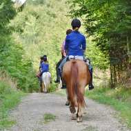 Écuries de la Bouquetterie