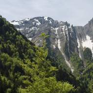 Les Rayés du Pécloz