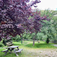 Aire de pique-nique des jardins de la Mairie