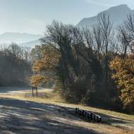Forêt des Monts