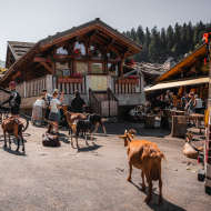 Village des chèvres