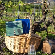 Escape Game & Vélo-Vignes