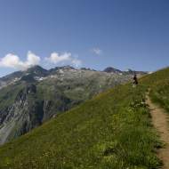 Hiking