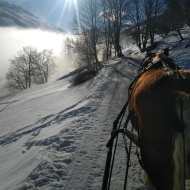 Promenade en traîneau à cheval