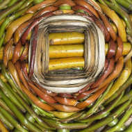 Au labo du Château : Vanne & rie !