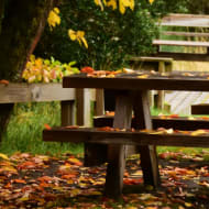 Aire de pique-nique du Grand Massif Express