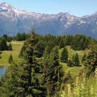 Theme hikes with Sandra Pellissier