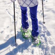 Randonnée raquettes encadrée à l'affut des chamois avec Planet Gliss