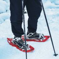 Randonnée raquettes encadrée à Morgins panoramique avec Martine Dupont
