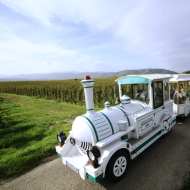 Road train in the Hermitage vineyards