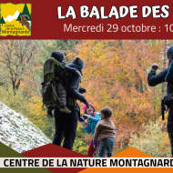 La Balade des Minis