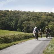 Discover Côte-Rôtie with Wine and Ride (half-day)