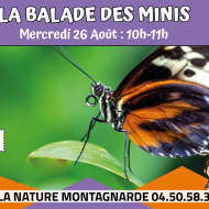 La balade des minis : Le mini papillon