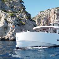 Dolphins cruise with Atlantide