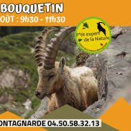 Les P'tits Experts de la Nature® - Le P'tit bouquetin