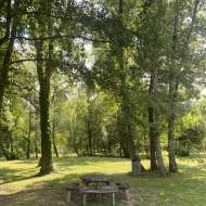 Aire de pique-nique - Parc des sources