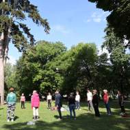 Matinées Taï Chi : initiation Qi Gong et Taï Chi avec Gingko Biloba