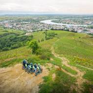 All-terrain electric scooter ride with wine expert + Tasting - Terres de Syrah