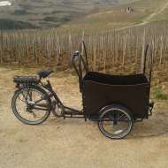 Balades viticoles en vélo électrique