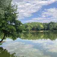 Etang d'Anneyron -base de l'Argentelle