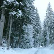 From l'Erigné to Chardonnière