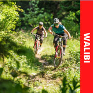 Red - Avoriaz - Wallibi