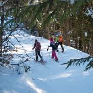 Snowshoeing around the Drouzin forest
