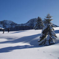 Snowshoeing and walking itinerary : Boucle de Dran