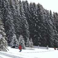 Snowshoeing and walking itinerary - History discovering