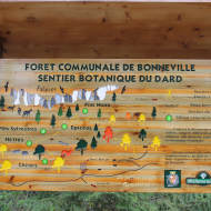 Sentier botanique du Dard